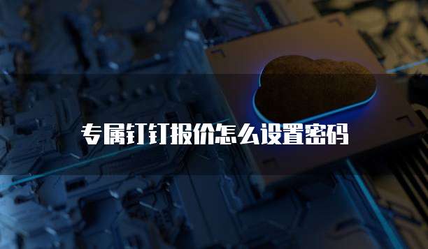 专属钉钉报价怎么设置密码