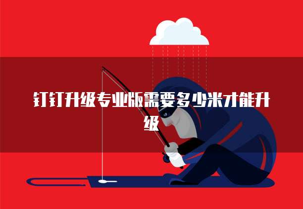 钉钉升级专业版需要多少米才能升级