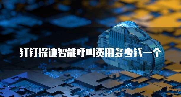 钉钉探迹智能呼叫费用多少钱一个