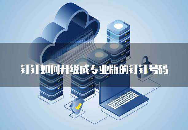 钉钉如何升级成专业版的钉钉号码