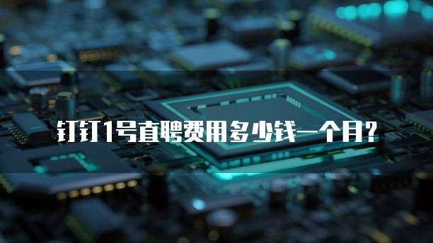 钉钉1号直聘费用多少钱一个月？