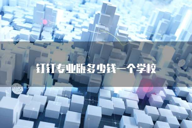 钉钉专业版多少钱一个学校