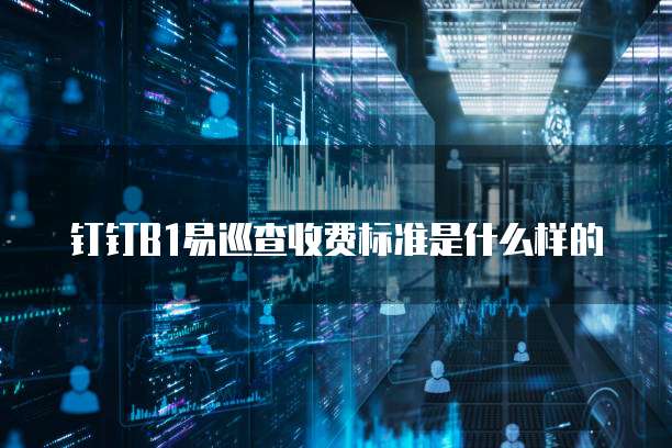 钉钉b1易巡查收费标准是什么样的