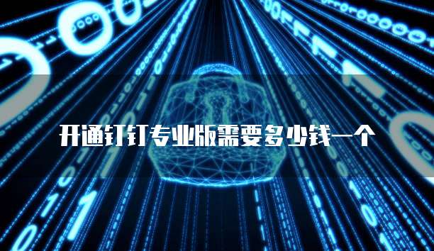 开通钉钉专业版需要多少钱一个