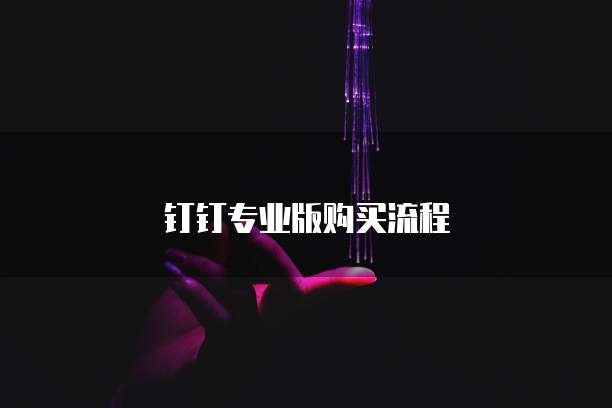 钉钉专业版购买流程