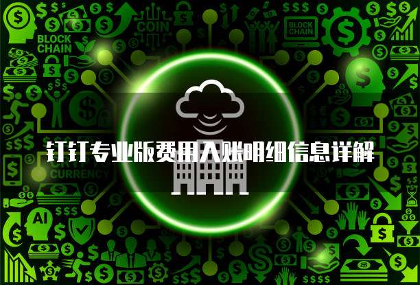 钉钉专业版费用入账明细信息详解