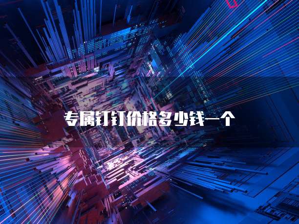 专属钉钉价格多少钱一个