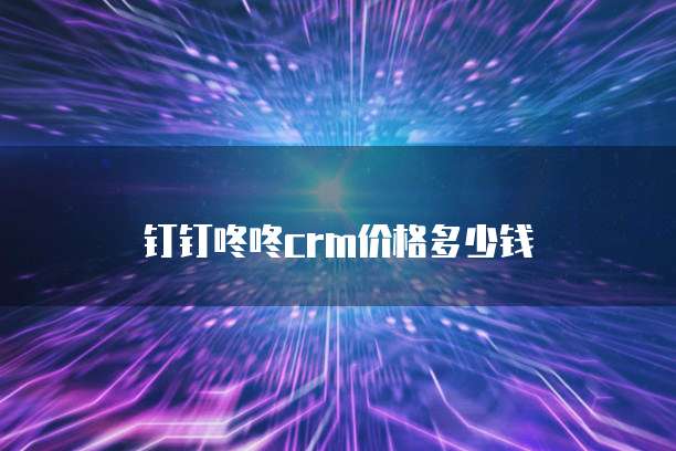 钉钉咚咚CRM价格多少钱