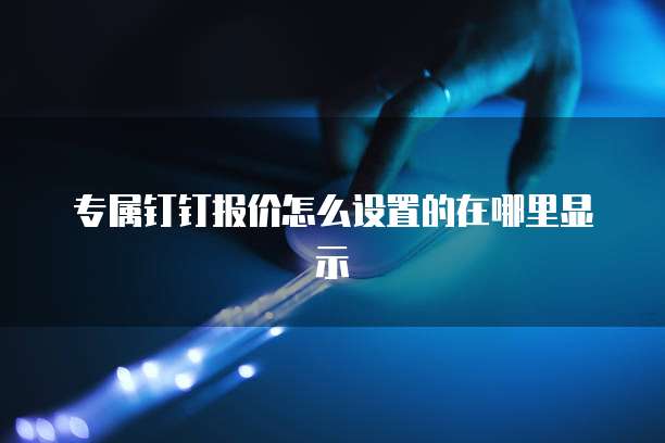 专属钉钉报价怎么设置的在哪里显示