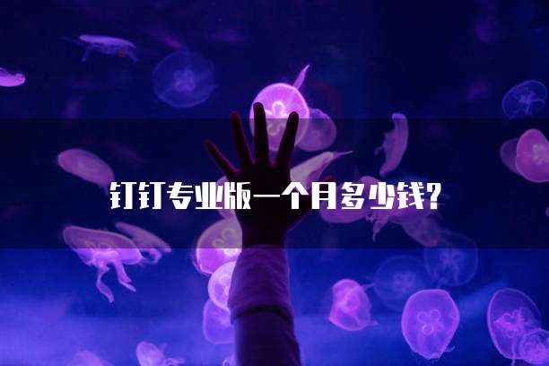 钉钉专业版一个月多少钱?