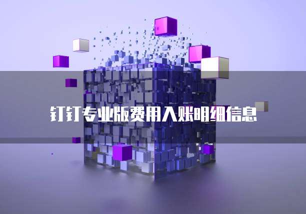 钉钉专业版费用入账明细信息