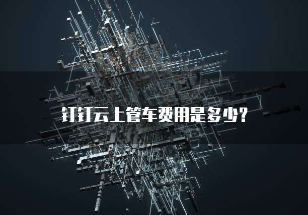 钉钉云上管车费用是多少?