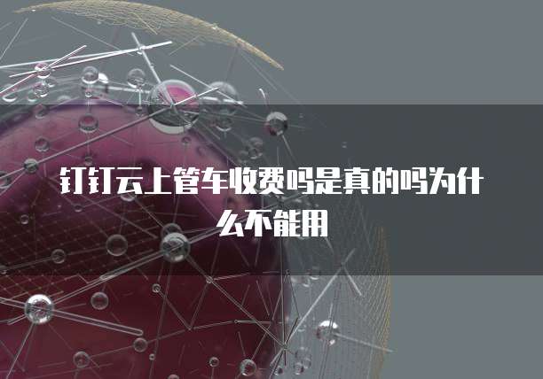 钉钉云上管车收费吗是真的吗为什么不能用