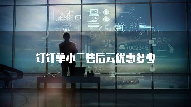 钉钉单小二售后云优惠多少