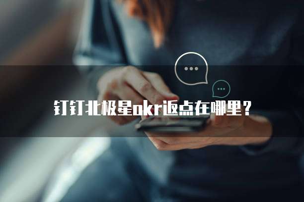 钉钉北极星okr返点在哪里？