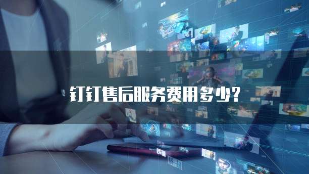 钉钉售后服务费用多少？