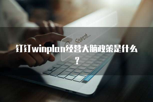 钉钉winplan经营大脑政策是什么？
