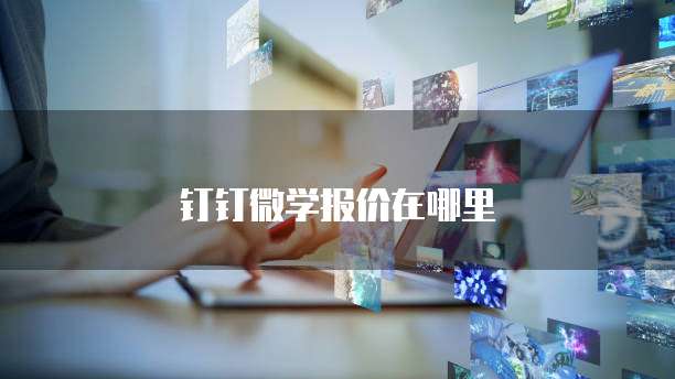 钉钉微学报价在哪里