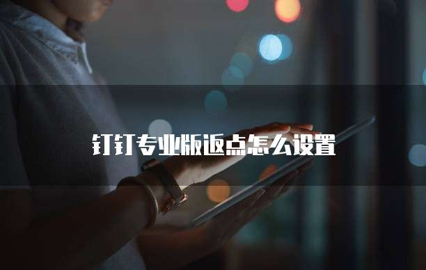 钉钉专业版返点怎么设置
