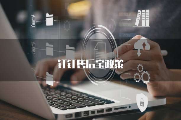 钉钉售后宝政策