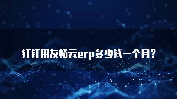 钉钉用友畅云erp多少钱一个月？
