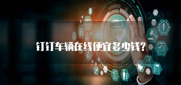 钉钉车辆在线便宜多少钱?