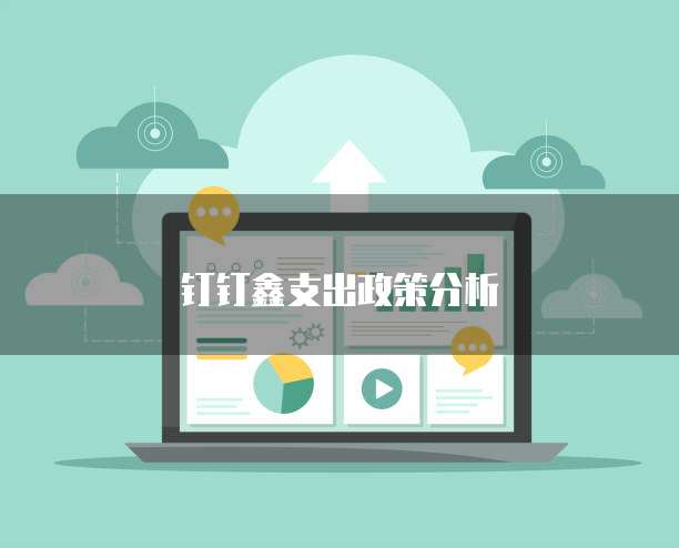 钉钉鑫支出政策分析
