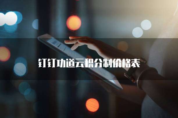 钉钉功道云积分制价格表