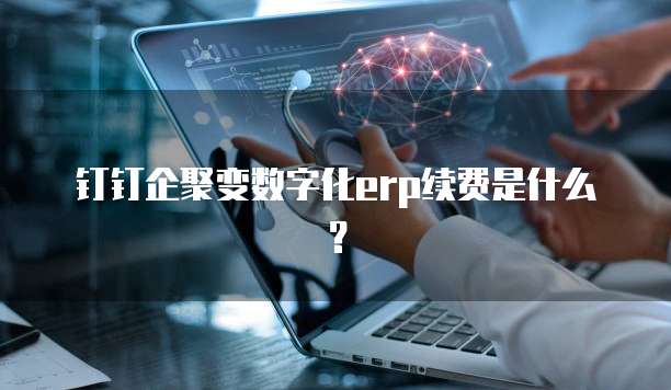钉钉企聚变数字化ERP续费是什么？