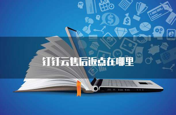 钉钉云售后返点在哪里