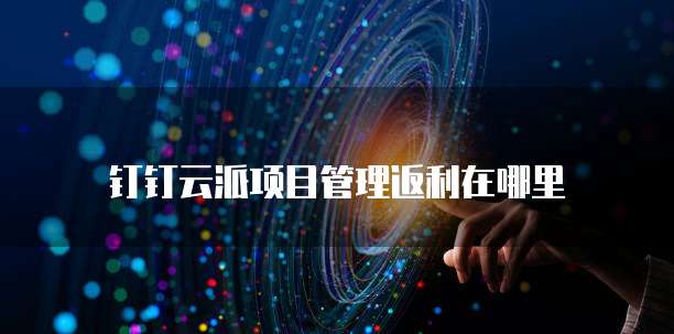 钉钉云派项目管理返利在哪里