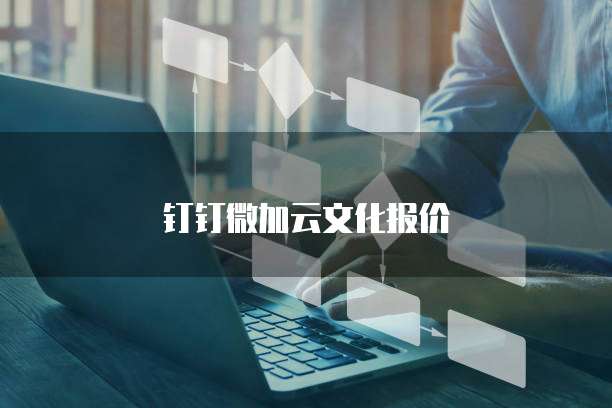 钉钉微加云文化报价