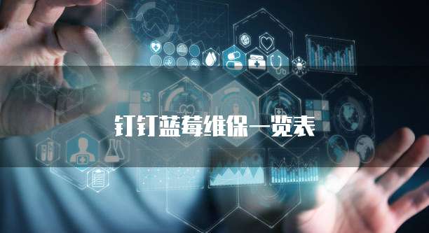 钉钉蓝莓维保一览表