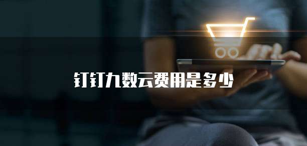 钉钉九数云费用是多少