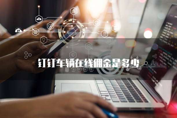 钉钉车辆在线佣金是多少