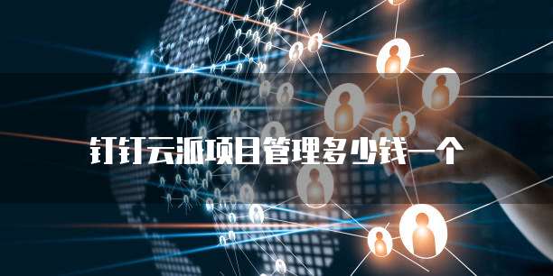 钉钉云派项目管理多少钱一个