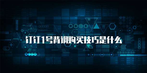 钉钉1号背调购买技巧是什么