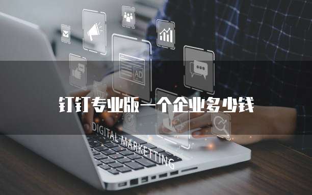 钉钉专业版一个企业多少钱