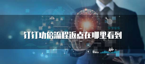 钉钉功倍流程返点在哪里看到