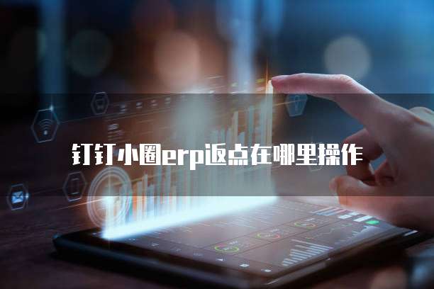 钉钉小圈ERP返点在哪里操作
