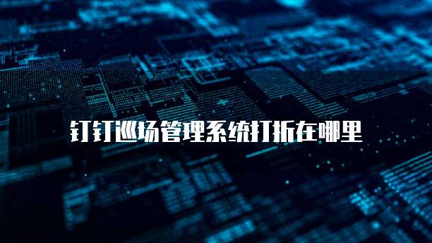 钉钉巡场管理系统打折在哪里