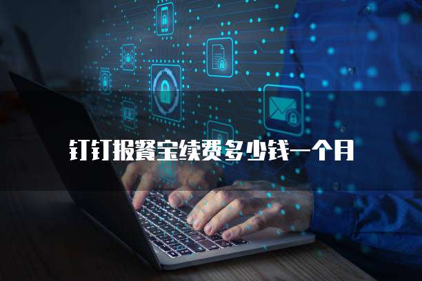 钉钉报餐宝续费多少钱一个月