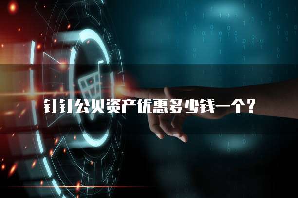 钉钉公贝资产优惠多少钱一个?