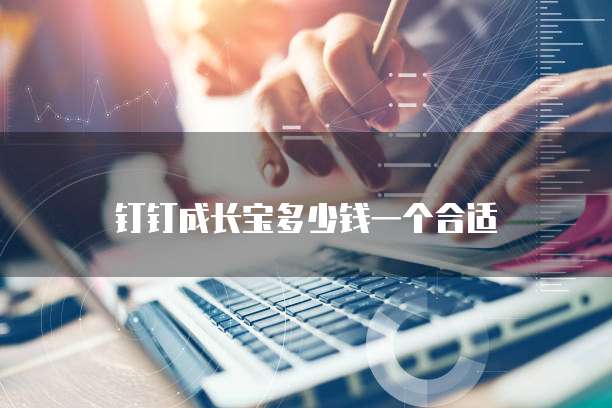 钉钉成长宝多少钱一个合适