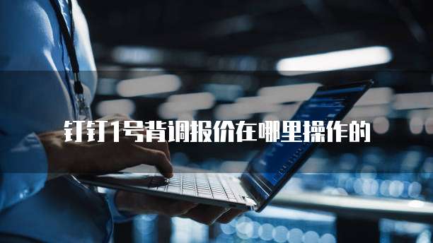 钉钉1号背调报价在哪里操作的