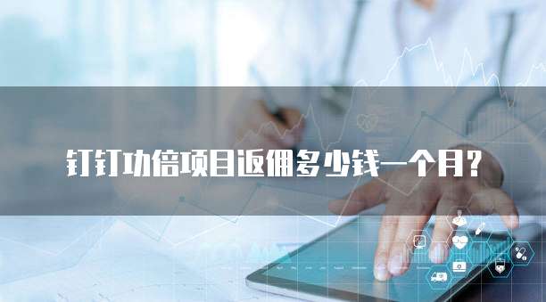 钉钉功倍项目返佣多少钱一个月?