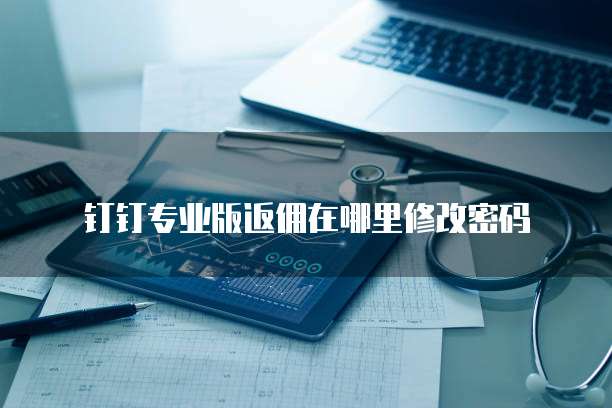 钉钉专业版返佣在哪里修改密码