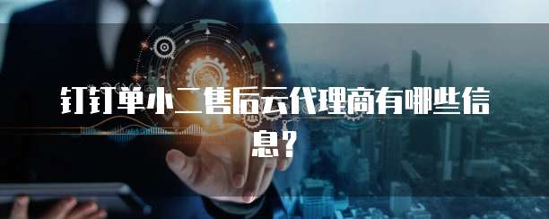钉钉单小二售后云代理商有哪些信息？