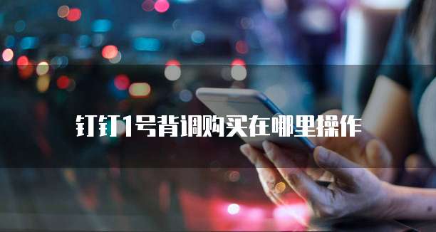 钉钉1号背调购买在哪里操作