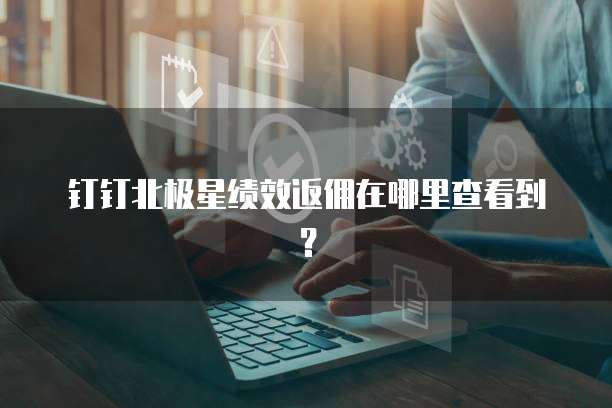钉钉北极星绩效返佣在哪里查看到？